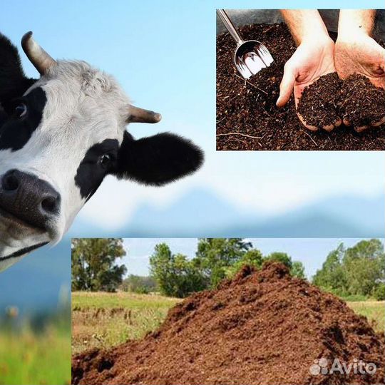 Навоз конский в мешках, коровяк, земля плодородная