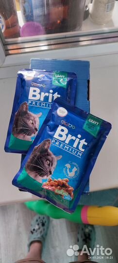 Корм для кошек Brit