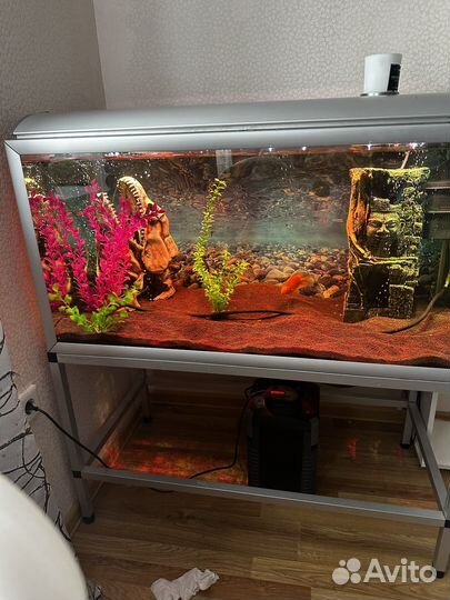 Аквариум 250 литров с тумбой