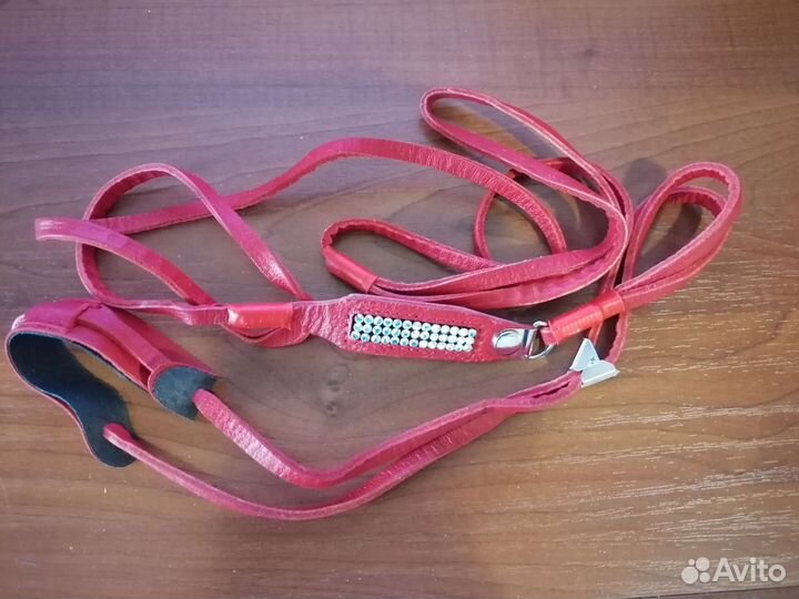 Ринговка для мелких собак ошейник