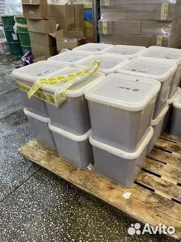 Мед лесной. Оптом