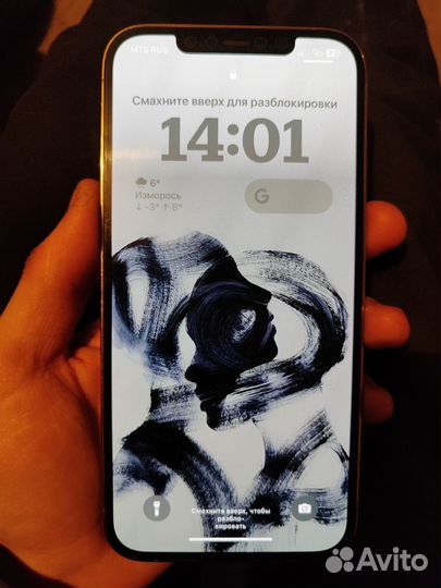 iPhone 12 Pro Max, 256 ГБ