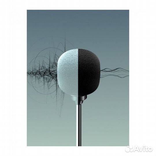 Петличный микрофон Raylab Rec. DH LavMic двойной 6