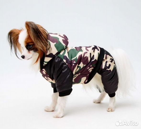 Комбинезон для собаки