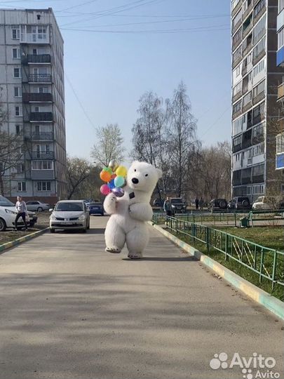 Поздравление мишкой аэромедведь