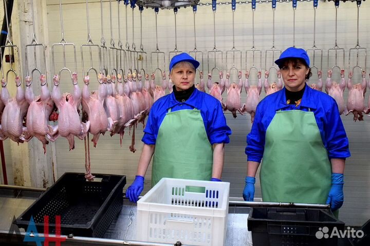 Разнорабочий/Птицефабрика/Вахта/Нижегородская обл