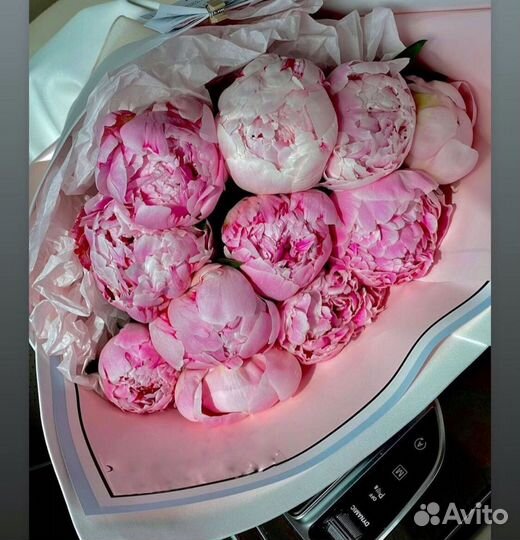 Букеты пионов