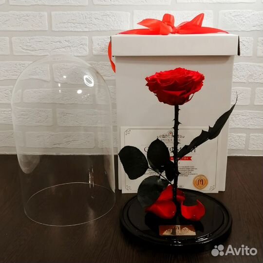 Живая роза в колбе. Интерьер