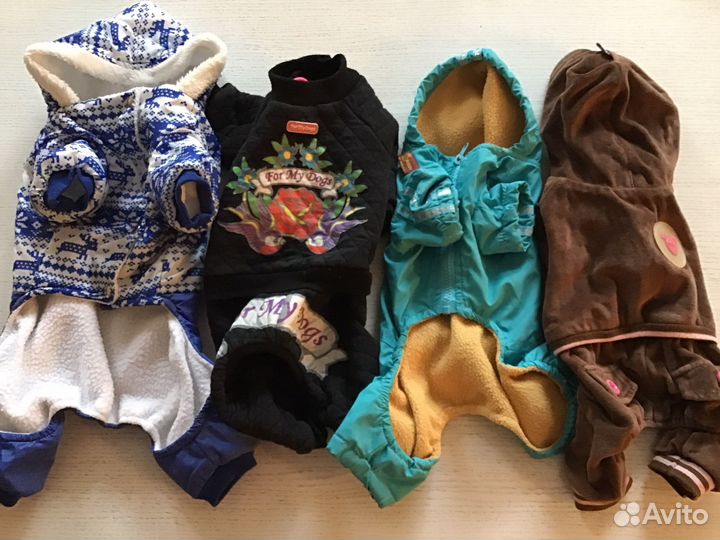 Одежда для собак мелких пород