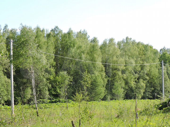 Участок 10 сот. (СНТ, ДНП)