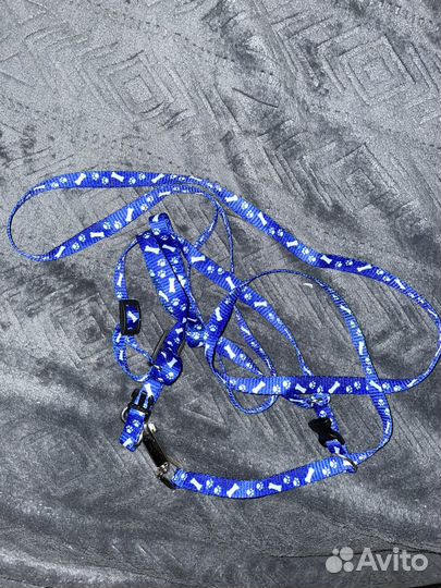 Шлейка для кошки