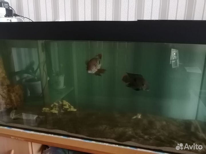 Аквариум с тумбой