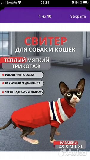 Свитер для кошки