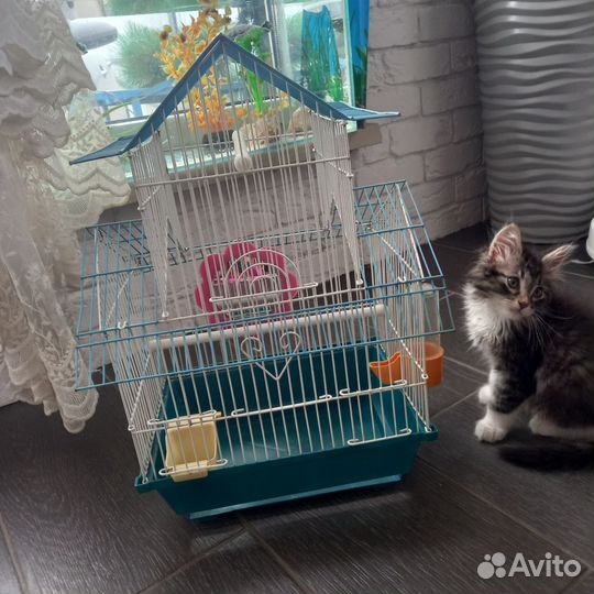 Клетка для попугая. Клетка- переноска