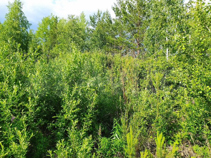 Участок 14,1 сот. (ИЖС)