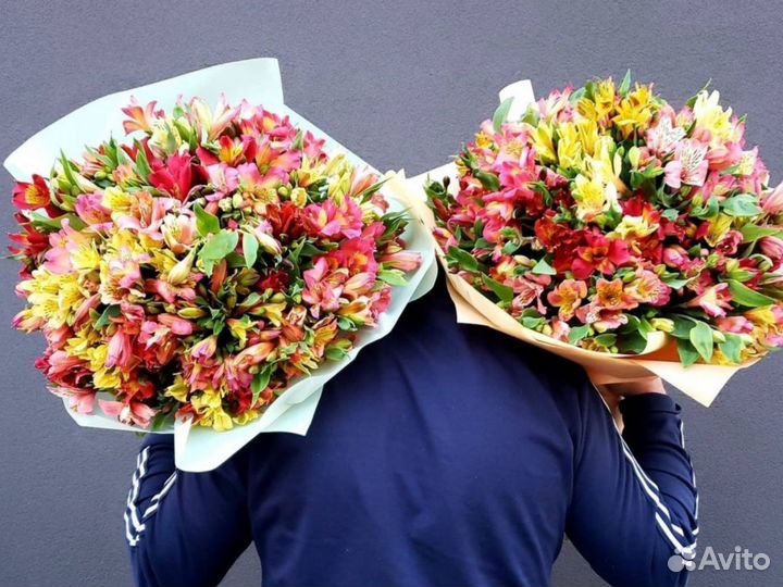 Альстромерии. Доставка Букетов