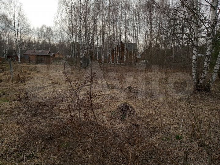 Участок 10,5 сот. (СНТ, ДНП)