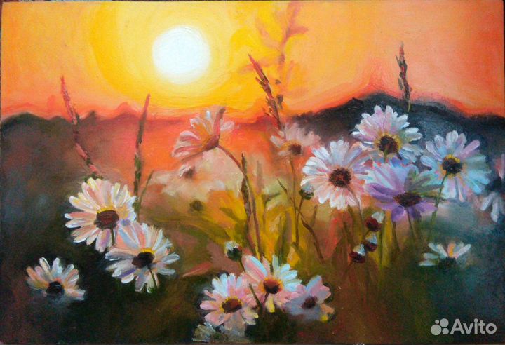 Картина маслом. Цветы. Ромашки на закате