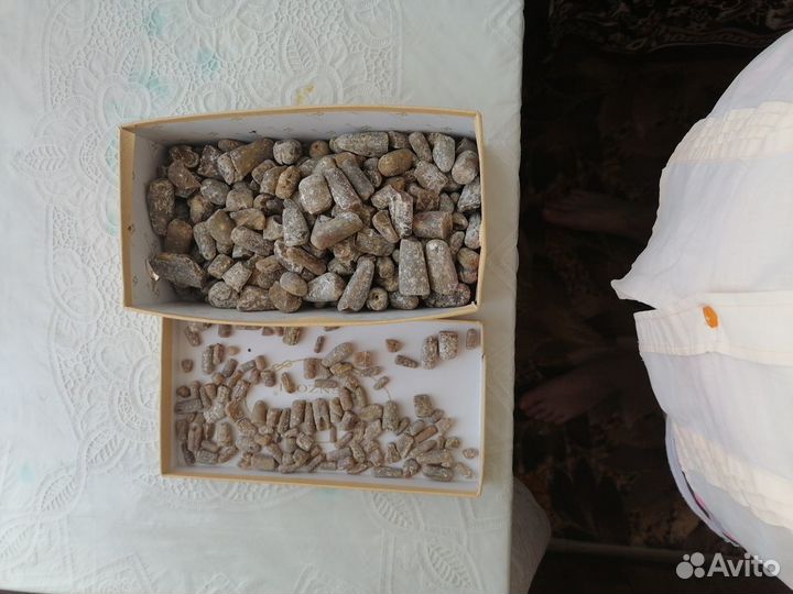 Чёртов палец, белемнит