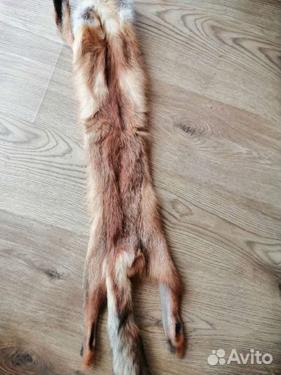 Шкура лисы