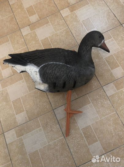 Подсадные утки и гуси