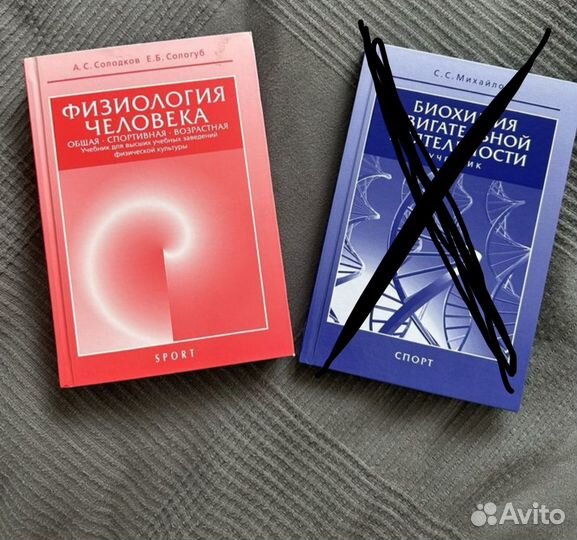 Физиология (Сологуб)