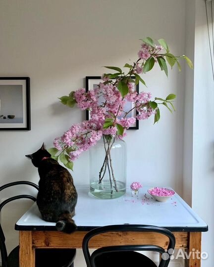 Консультирование по бронированию жилья в Кстово