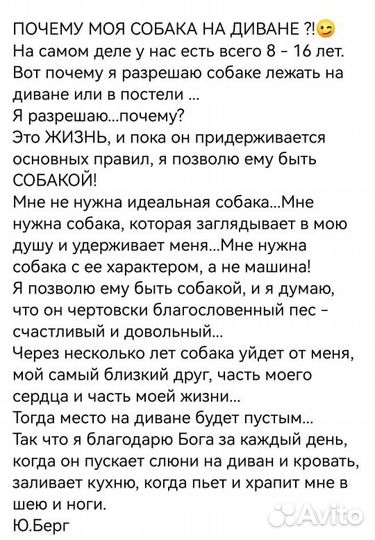 Передержка собак