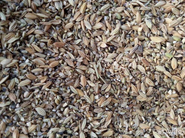 Зерноотходы