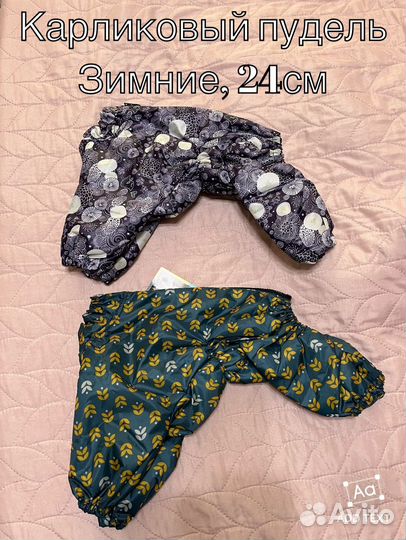 Костюм для собаки