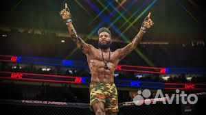 UFC 4 PS4/PS5 Чебоксары