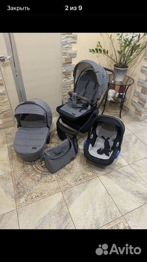 Коляска carello 3 в 1