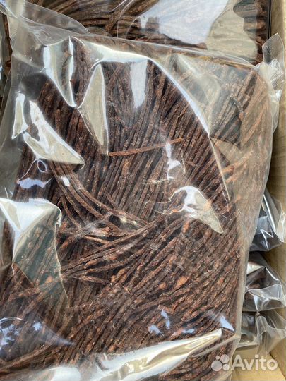 Паутинка морская чернила каракатица