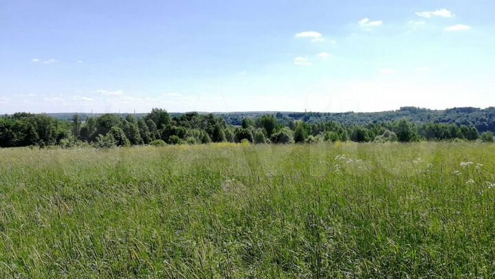 Участок 1,27 га (ИЖС)