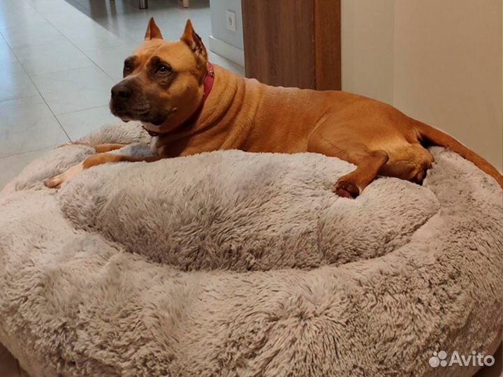 Лежанка для животных собак и кошек Доставка