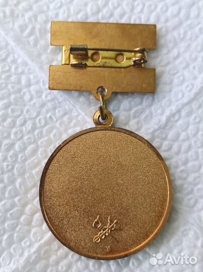 Нагрудный знак Отличник таможенной службы