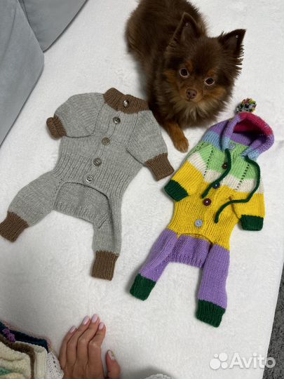 Одежда для маленьких пород собак