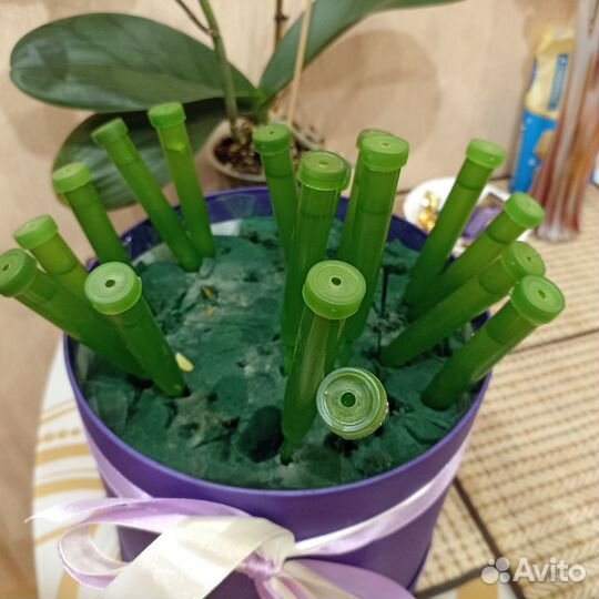 Флористические колбы