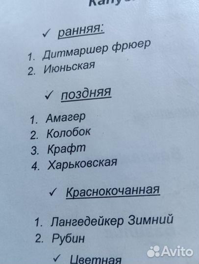 Рассада овощей и цветов