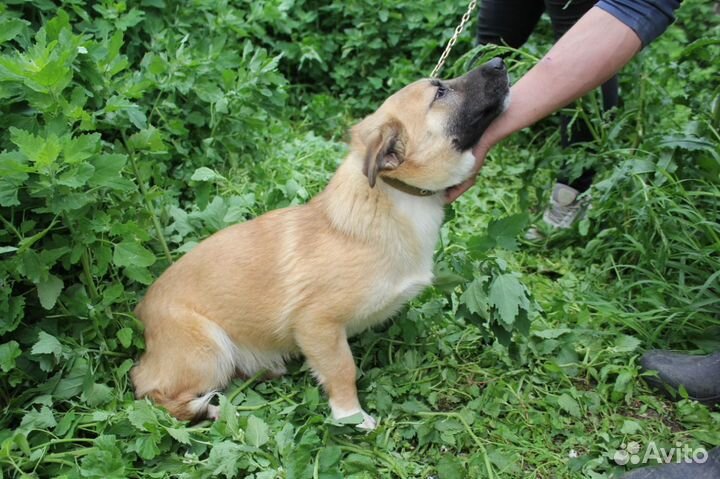 Миниатюрный пацан