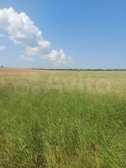 Участок 5,3 га (СНТ, ДНП)