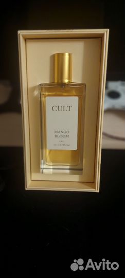 Cult mango bloom