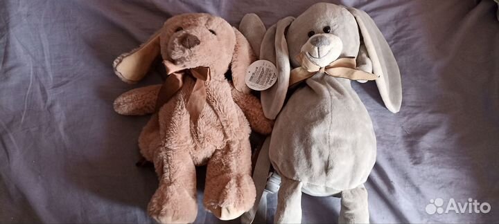 Заяц и собака