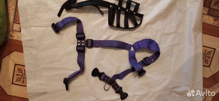 Намордник и шлейка для средних собак