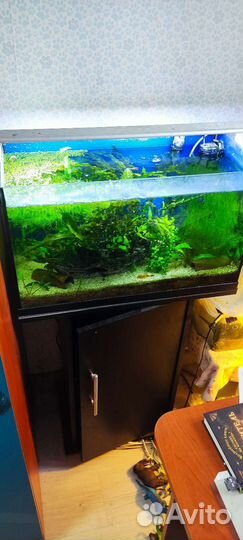 Аквариумы с тумбой 60л б/у