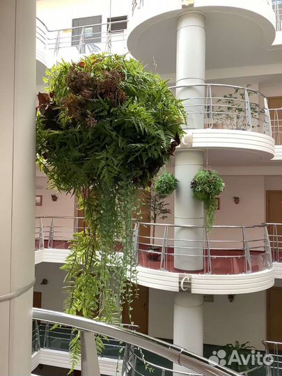 Искусственные цветы самшит кокедама подвес кашпо