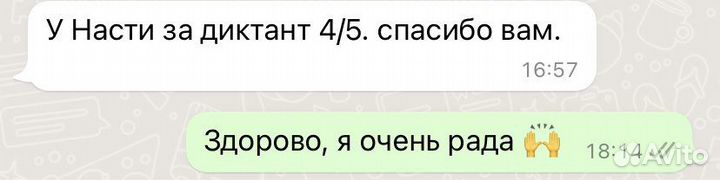 Репетитор по русскому языку и литературе