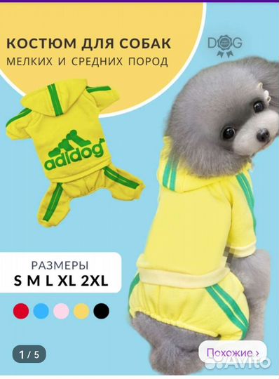 Костюм для собаки