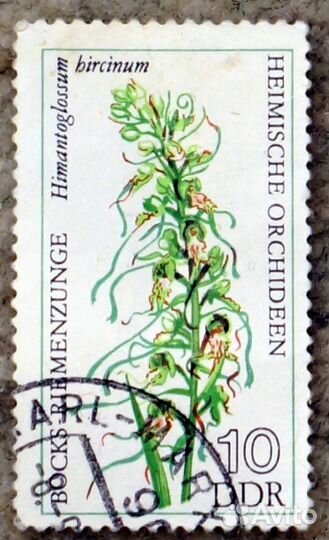 Марка Орхидея