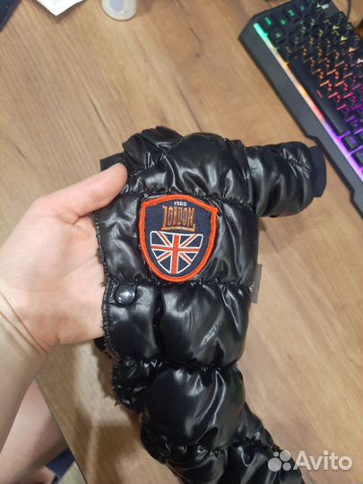 Одежда для собак